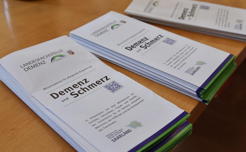 Flyer Demenz und Schmerz | Landesfachstelle Demenz